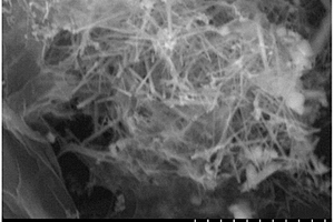 氧化石墨烯新型水热模版剂及其纳米复合材料的制备方法