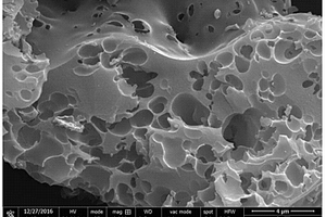 氮掺杂多孔结构碳材料及其制备方法和应用