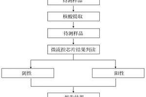 能同时检测副溶血弧菌4个毒力基因的引物以及试剂盒