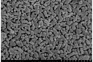 纳米铌酸钛的制备方法