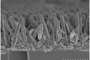 TiO<Sub>2</Sub>纳米针薄膜及其制备方法