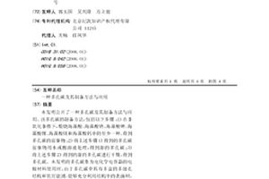 多孔碳及其制备方法与应用