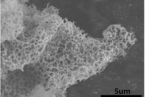 N，O，S掺杂的网状石墨化碳纳米材料的制备方法