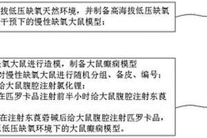 高原低压缺氧环境下大鼠癫痫模型的建立方法