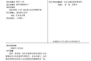 负极和二次电池