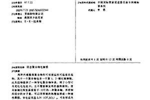 固态聚合物电解质