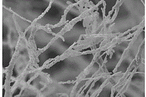 分级纳米线结构V<Sub>2</Sub>O<Sub>5</Sub>电极材料的制备方法及其应用