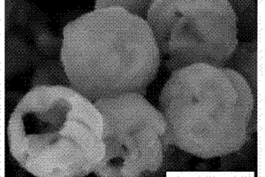 中空球状Fe<sub>2</sub>O<sub>3</sub>微观结构的制备方法