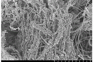 纳米Co<Sub>3</Sub>O<Sub>4</Sub>/碳纳米管一体式空气电极催化材料的制备方法