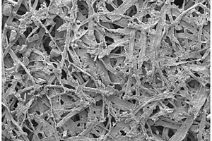 PVDF-HFP复合木质纤维素凝胶聚合物电解质膜及其制备方法