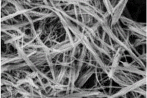 高温稳定二氧化钛纳米管粉体的制备方法