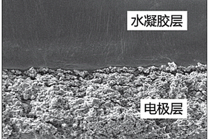 一体化成型的水凝胶固态超级电容器及其制备方法