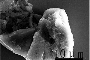 生物硅碳材料的制备方法、生物硅碳材料及应用