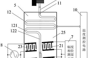基于声表面波的红细胞活性评估装置和方法