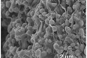 碳包覆石墨烯-氧化铁复合电极材料及其制备方法与应用
