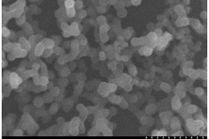 用于Li-CO2电池碳球催化剂的制备方法及其应用
