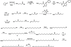 鳞翅目害虫桃潜叶蛾性信息素(S)-14-甲基-1-十八碳烯的合成方法