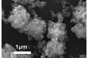 含碳纳米管碳壳包覆的硅负极材料及其制备方法