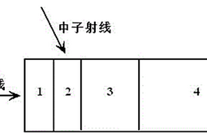 一体化中子伽马剂量率仪