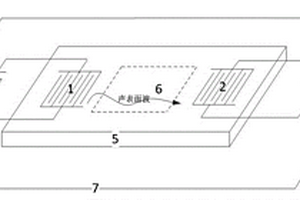 用于可挥发有机污染物探测的声表面波传感器