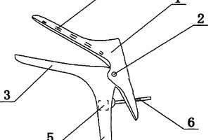 阴道口扩张器