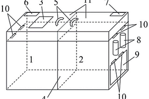 麦类作物花药离体保存和培养箱