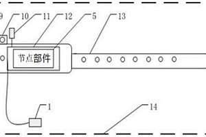 家禽体温无线监测装置