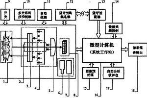 用于诊断恶性黑素细胞肿瘤的多光谱皮肤镜图像自动分析仪器