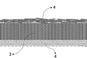 用于二次电池的不对称隔膜
