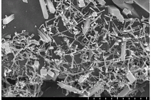 碳化硅晶须原位复合锂质陶瓷材料及其制备方法