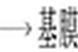 锂离子高截留率的双极膜的制备方法