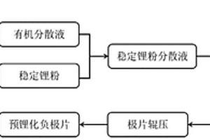 预锂化负极片及其制备方法和应用