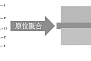 聚合物固态电解质、全固态锂电池及其制备方法