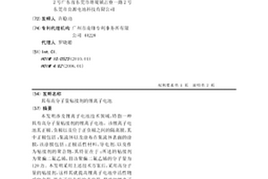 具有高分子量粘接剂的锂离子电池