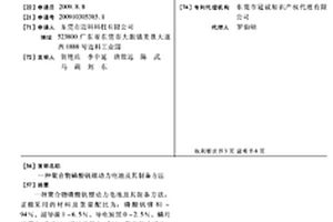 聚合物磷酸钒锂动力电池及其制备方法