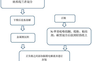 聚二甲基硅氧烷与银纳米线多孔复合柔性锂金属电池的制备方法