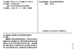 醋酸锂介导的香菇基因转移技术