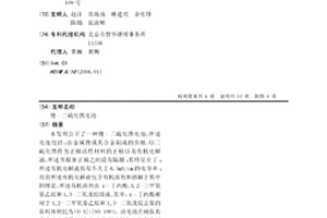 锂-二硫化铁电池