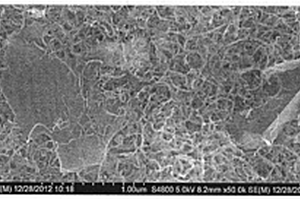 锂离子二次电池用碳纳米管和石墨烯复配导电浆料