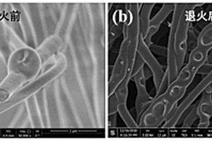豆荚状MoS<Sub>2</Sub>-SnO<Sub>2</Sub>镁锂杂化离子电池正极材料及其合成方法及应用