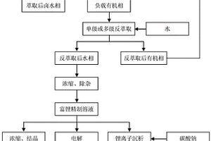 用仲酰胺/磷酸三烷酯复合溶剂从含镁卤水中分离镁提取锂的萃取体系、萃取方法和其应用
