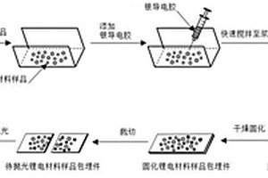 锂电材料截面扫描电镜样品的制备方法和应用