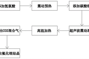 氟化锂超声动态反应结晶工艺及其超声动态反应结晶设备
