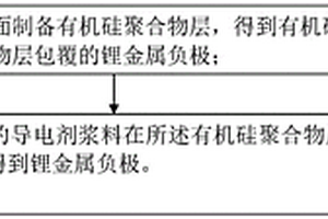 锂金属负极及其制备方法、二次电池