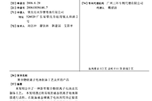聚合物锂离子电池制备工艺及所得产品
