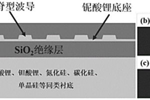 基于周期极化铌酸锂薄膜波导结构的上转换单光子探测器