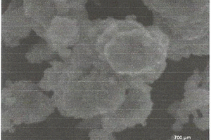 锂离子电池正极材料盐溶液掺杂氧化物的制备方法