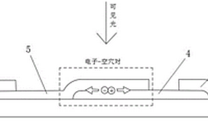 基于铌酸锂基底的二维材料异质结光电池