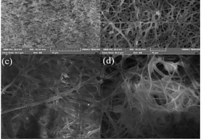 基于PSA/SiO<sub>2</sub>/PI隔膜的锂/亚硫酰氯电池