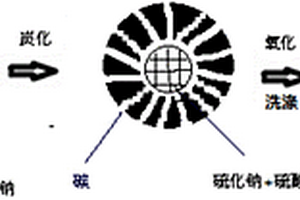 锂硫电池正极用分级多孔碳/硫复合材料及其制备方法